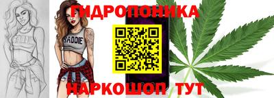 эйфоретик Славгород