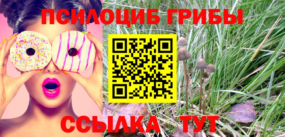 Псилоцибиновые грибы ЛСД  Вход с VPN  Надым 